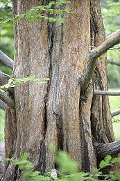 《无人深空》现已完整支持Steam Deck 可触屏操作